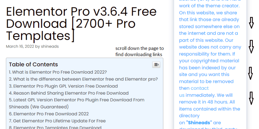 shineads-elementorpro-download-step4